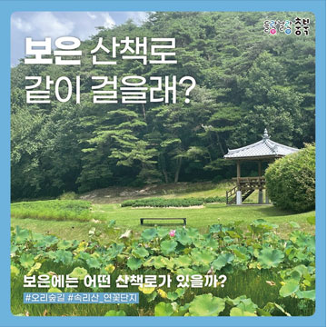 보은 산책로 같이 걸을래? 보은에는 어떤 산책로가 있을까? #오리숲길 #속리산_연꽃단지