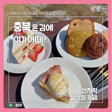 여행가서 들리기 좋은 카페가 궁금하다면? 충북 온 김에 여기 어때? 산자락 일상화 카페 찌부